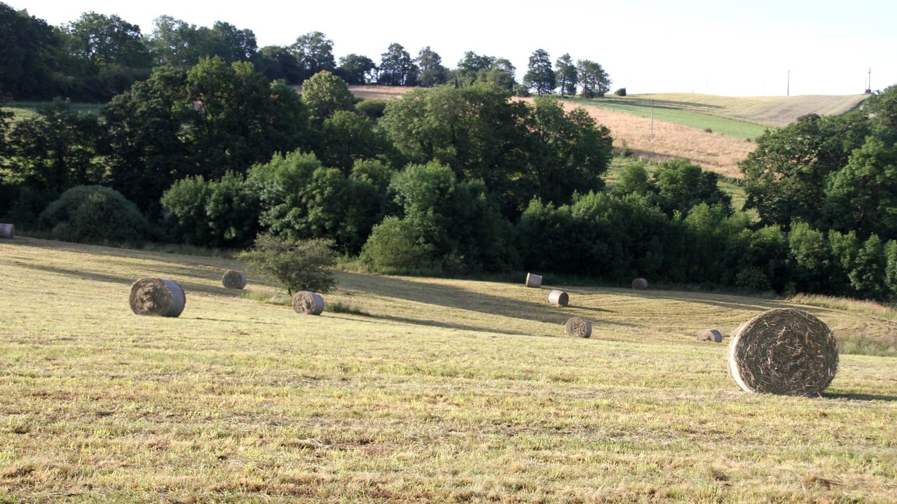 Photo of Others in Chirassimont