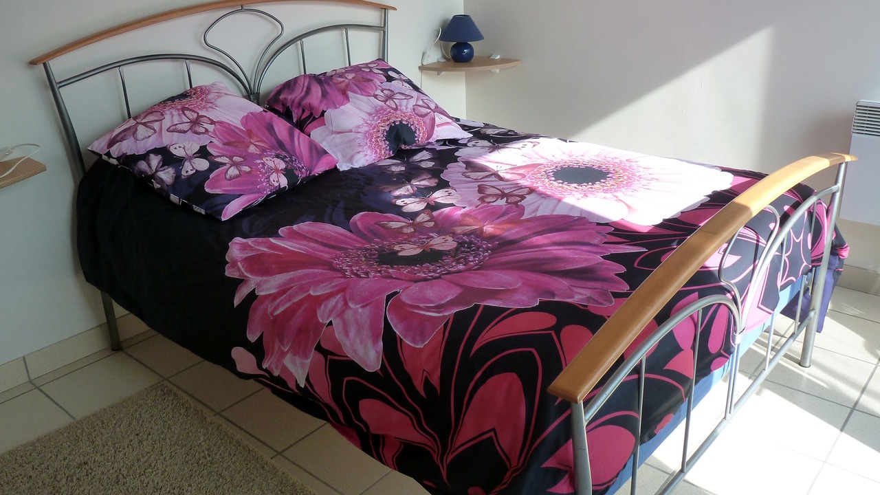 Photo of Bedroom in Chirassimont