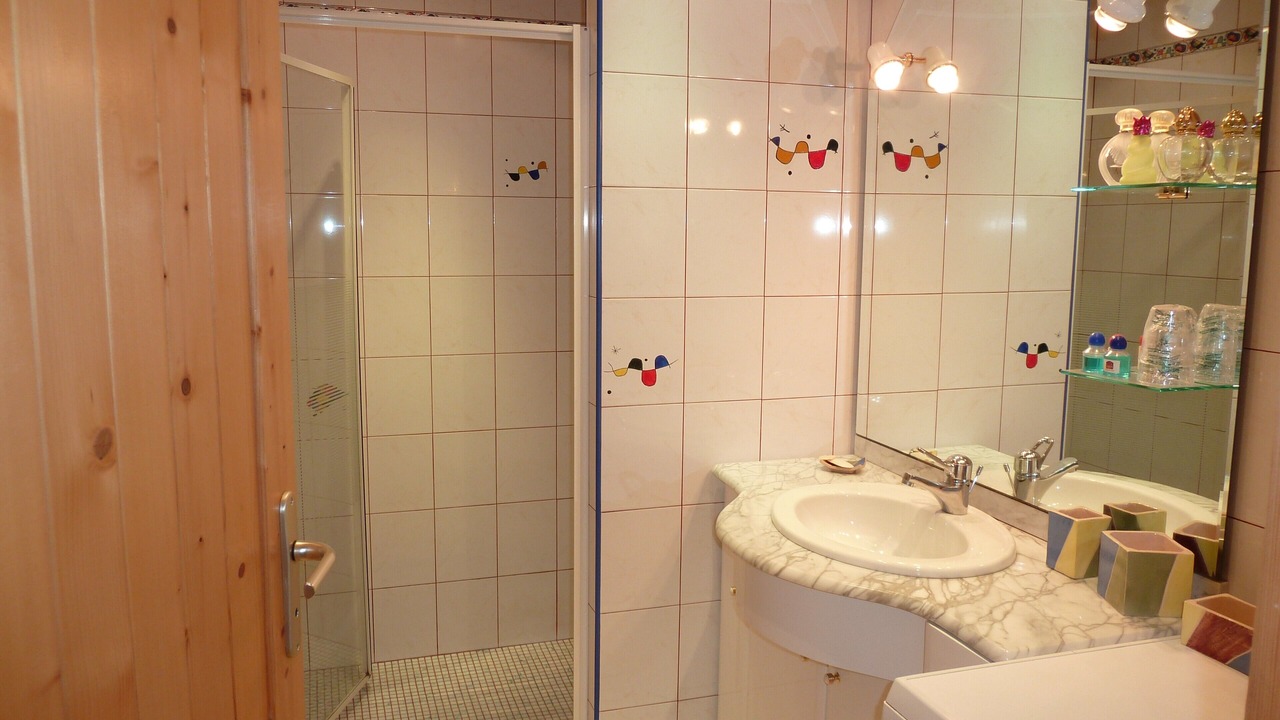 Photo of Bathroom in Chirassimont