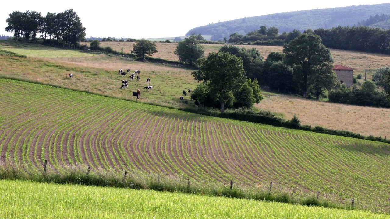 Photo of Outdoor in Chirassimont