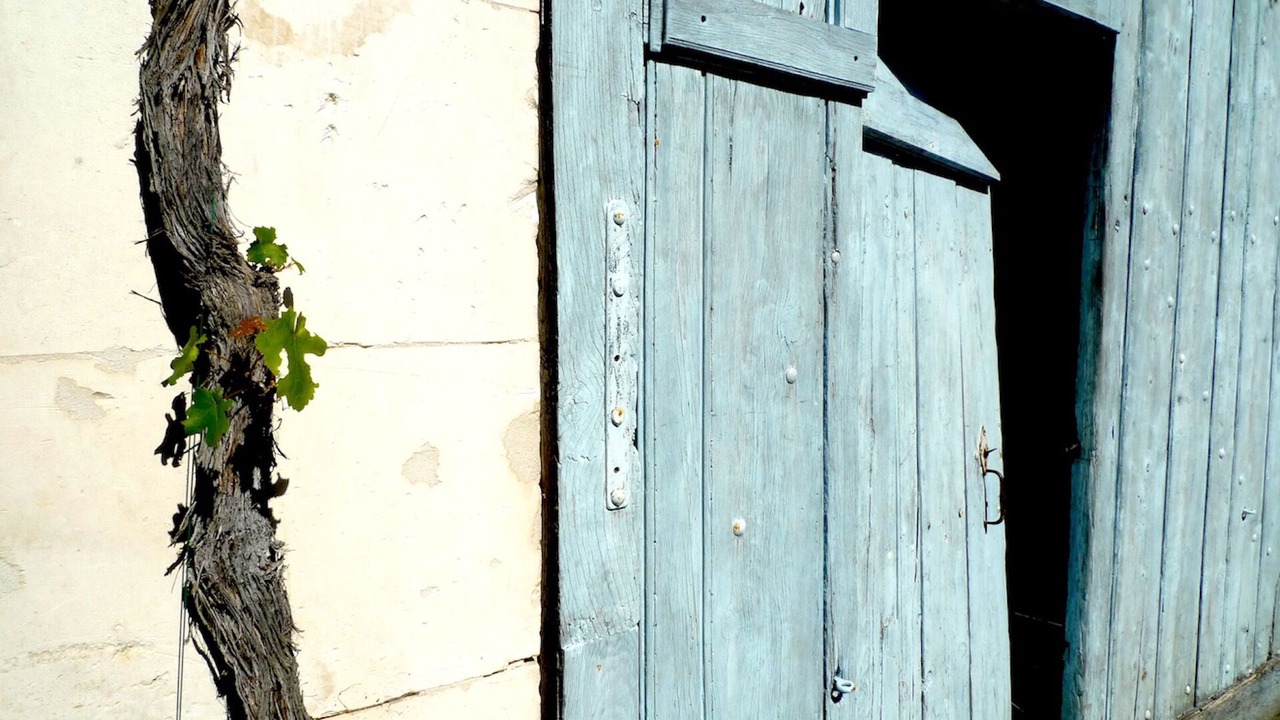 Photo of Outdoor in Vincelottes
