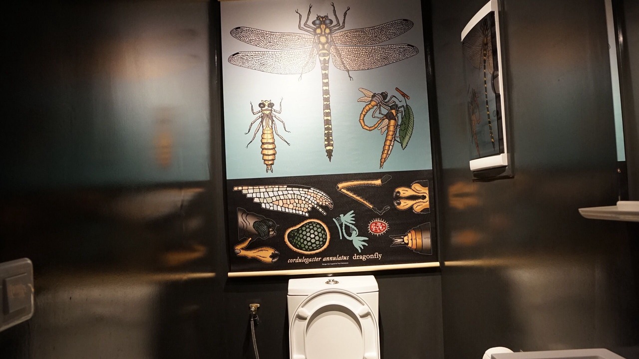 Photo of Bathroom in Vincelottes