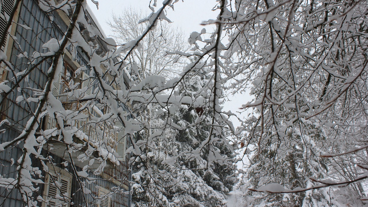 Photo of Outdoor in Foncine-le-Haut