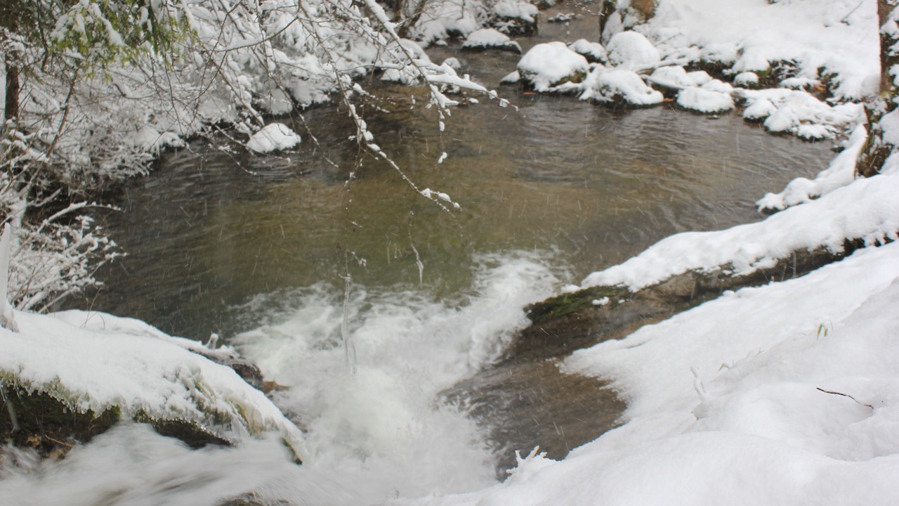 Photo of Outdoor in Foncine-le-Haut