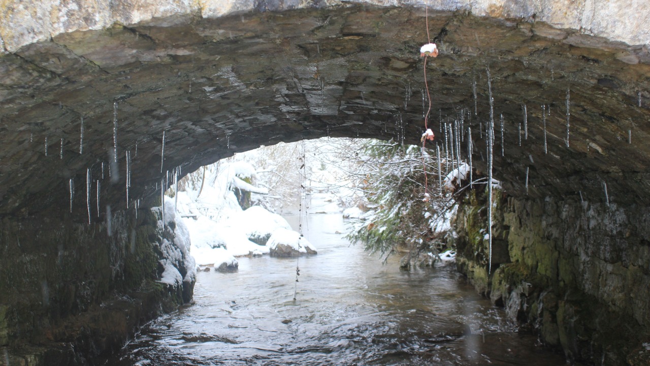 Photo of Others in Foncine-le-Haut