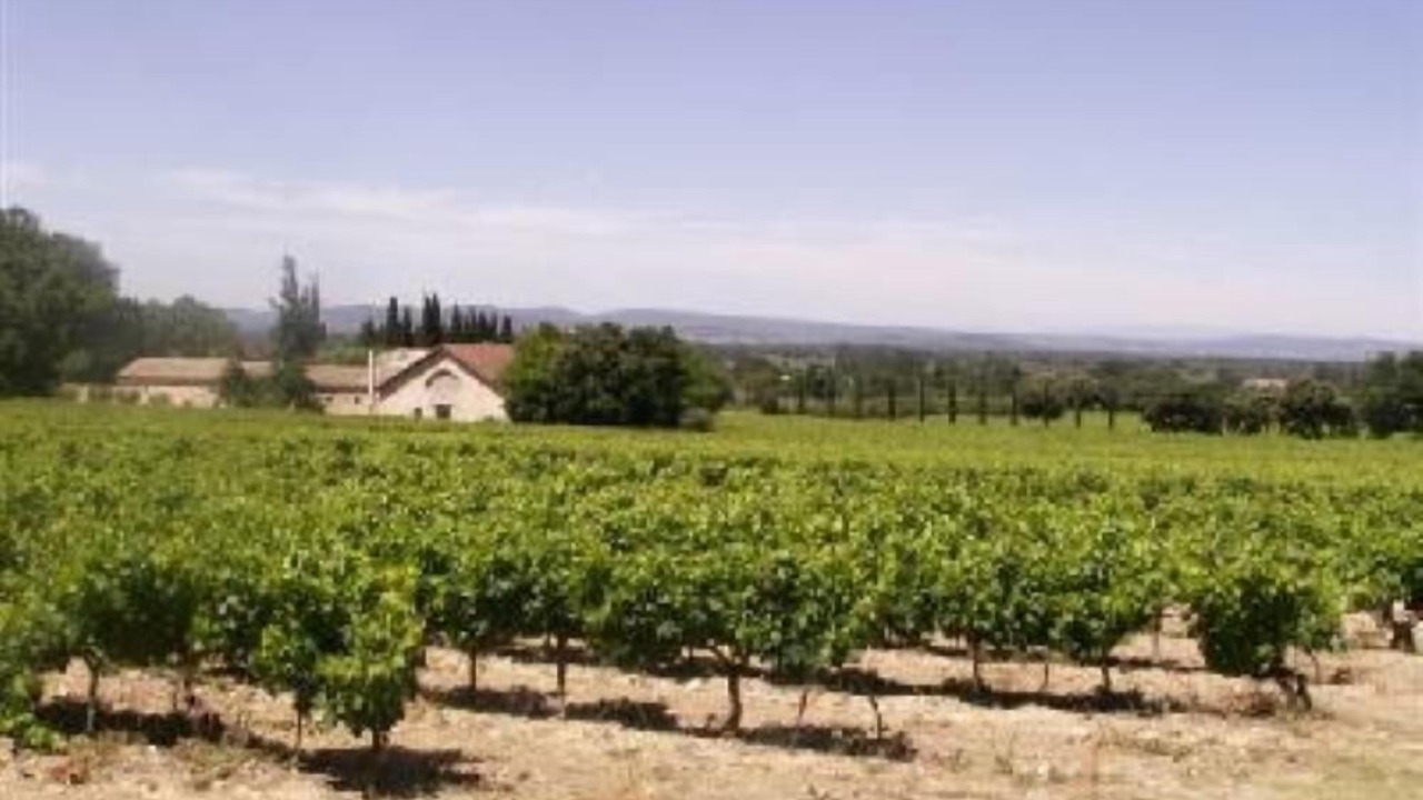 Photo of Outdoor in Bollene