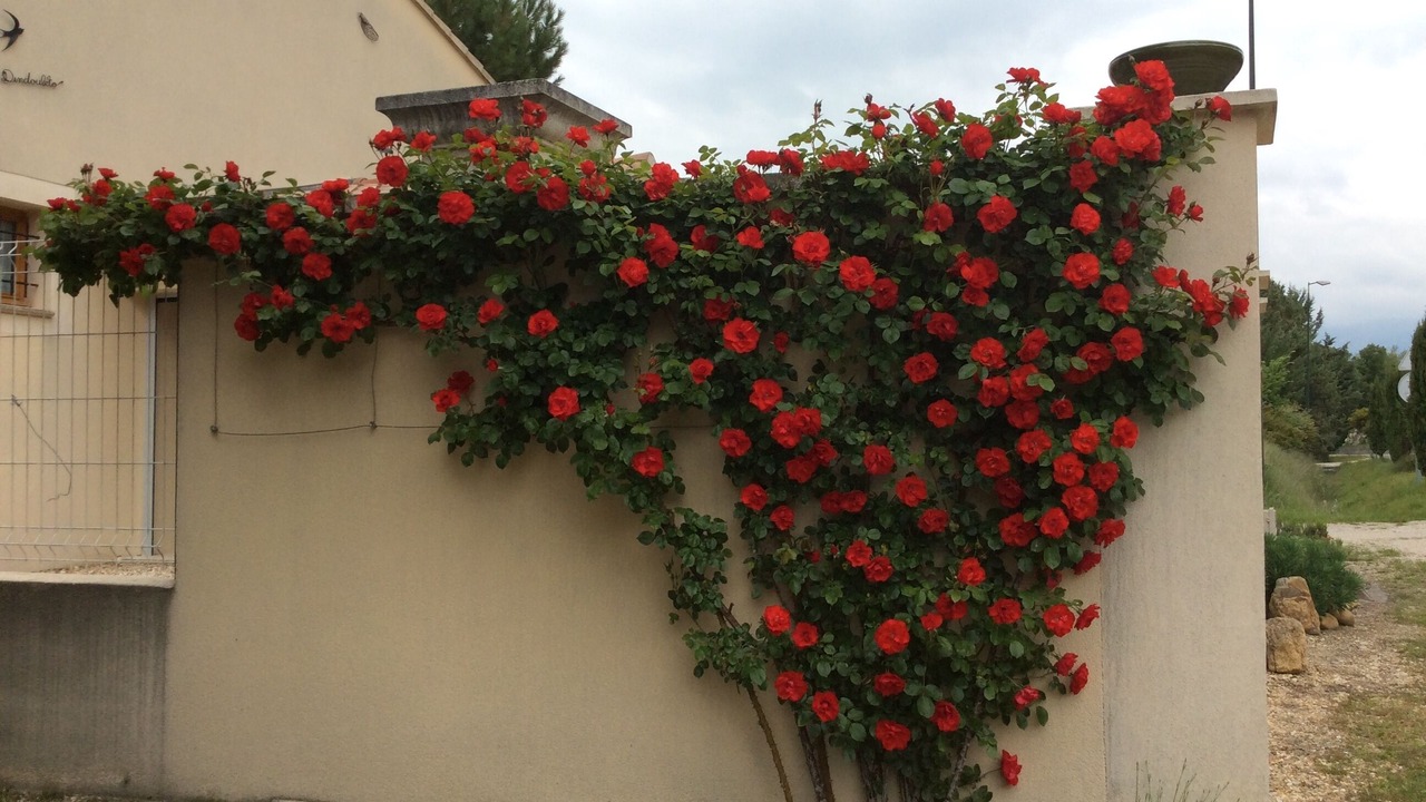 Photo of Outdoor in Mormoiron