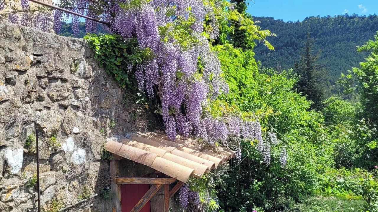 Photo of Outdoor in Vesseaux