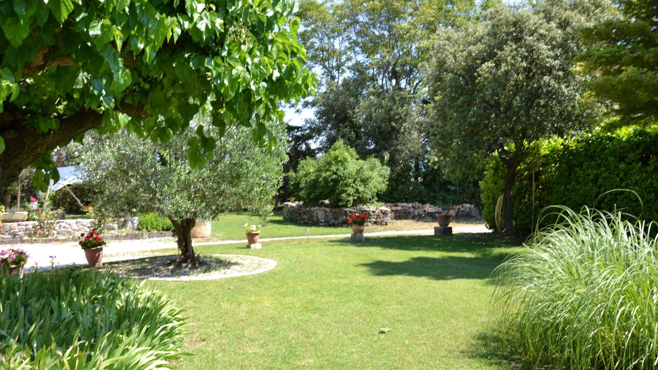 Photo of Outdoor in Bedoin