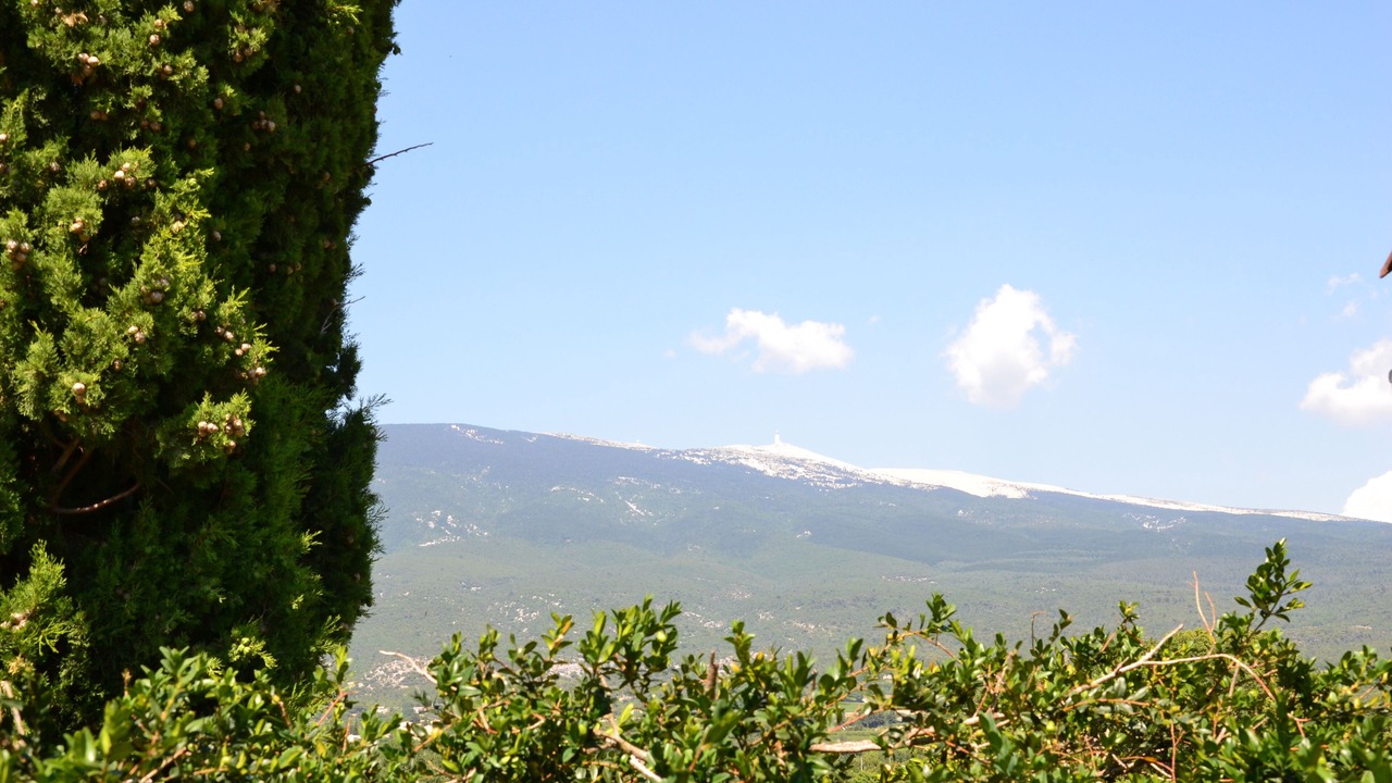 Photo of Outdoor in Bedoin