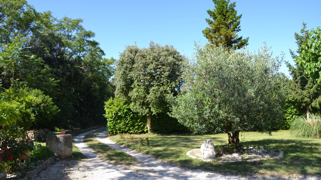 Photo of Outdoor in Bedoin