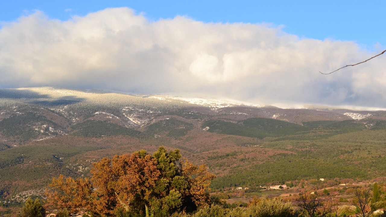 Photo of Outdoor in Bedoin