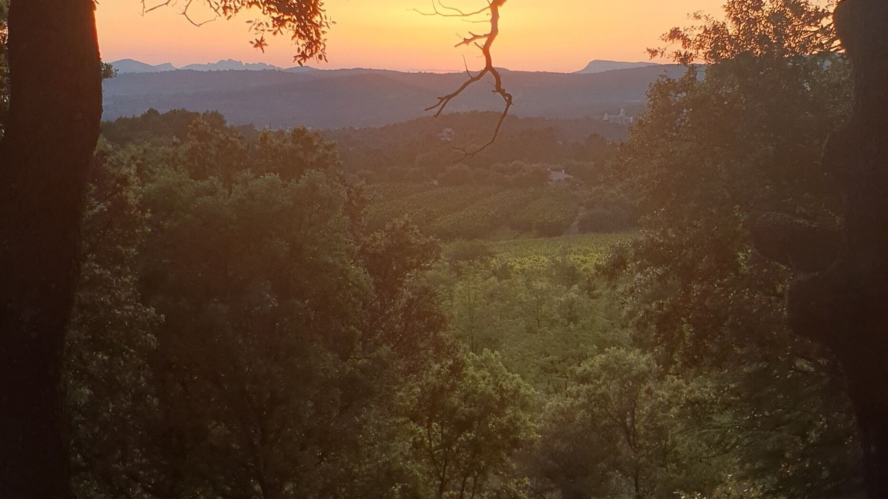 Photo of Outdoor in Bedoin