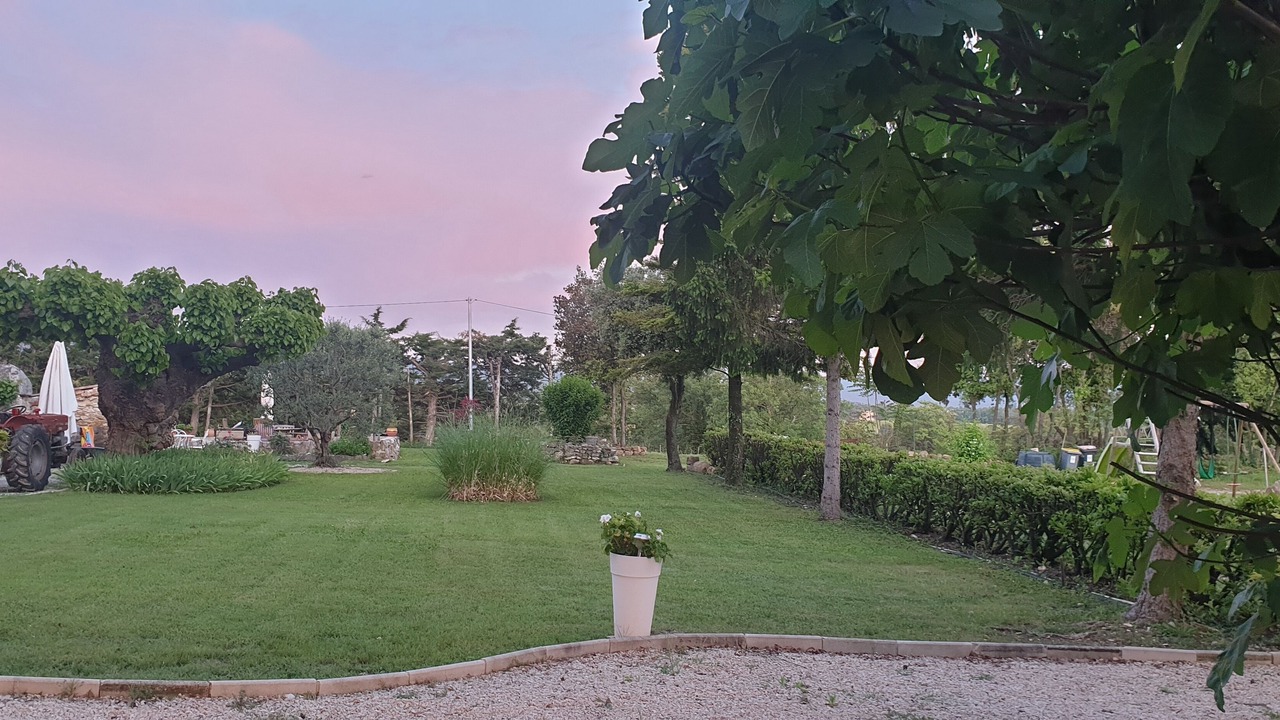 Photo of Outdoor in Bedoin