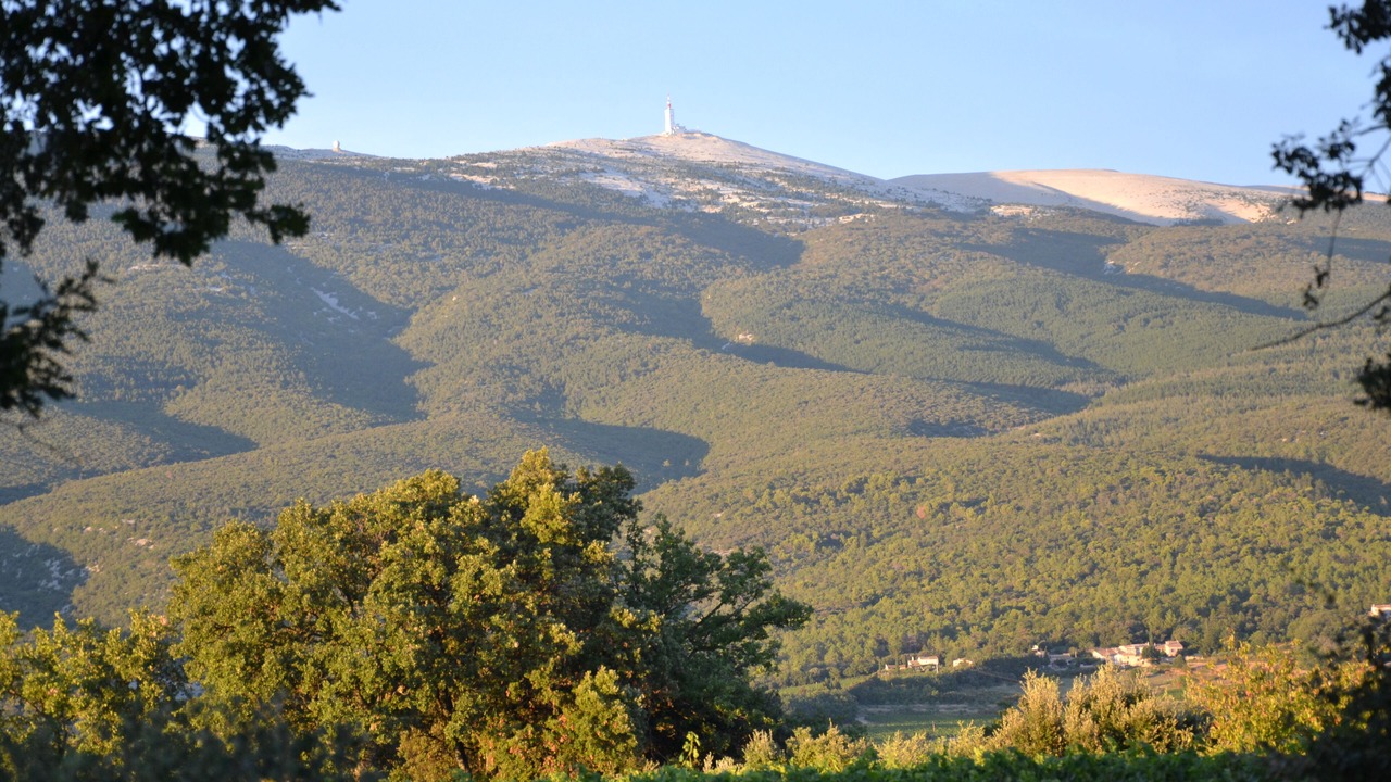 Photo of Outdoor in Bedoin