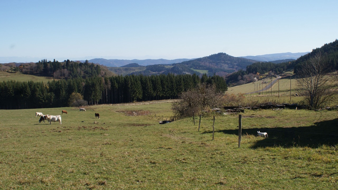 Photo of Outdoor in Montagne d'Ardeche