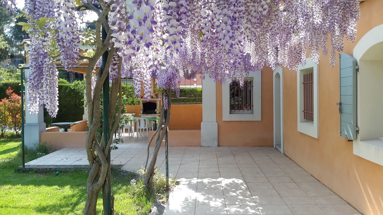 Photo of Outdoor in Taillades