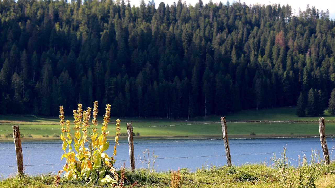 Photo of Outdoor in Rochejean