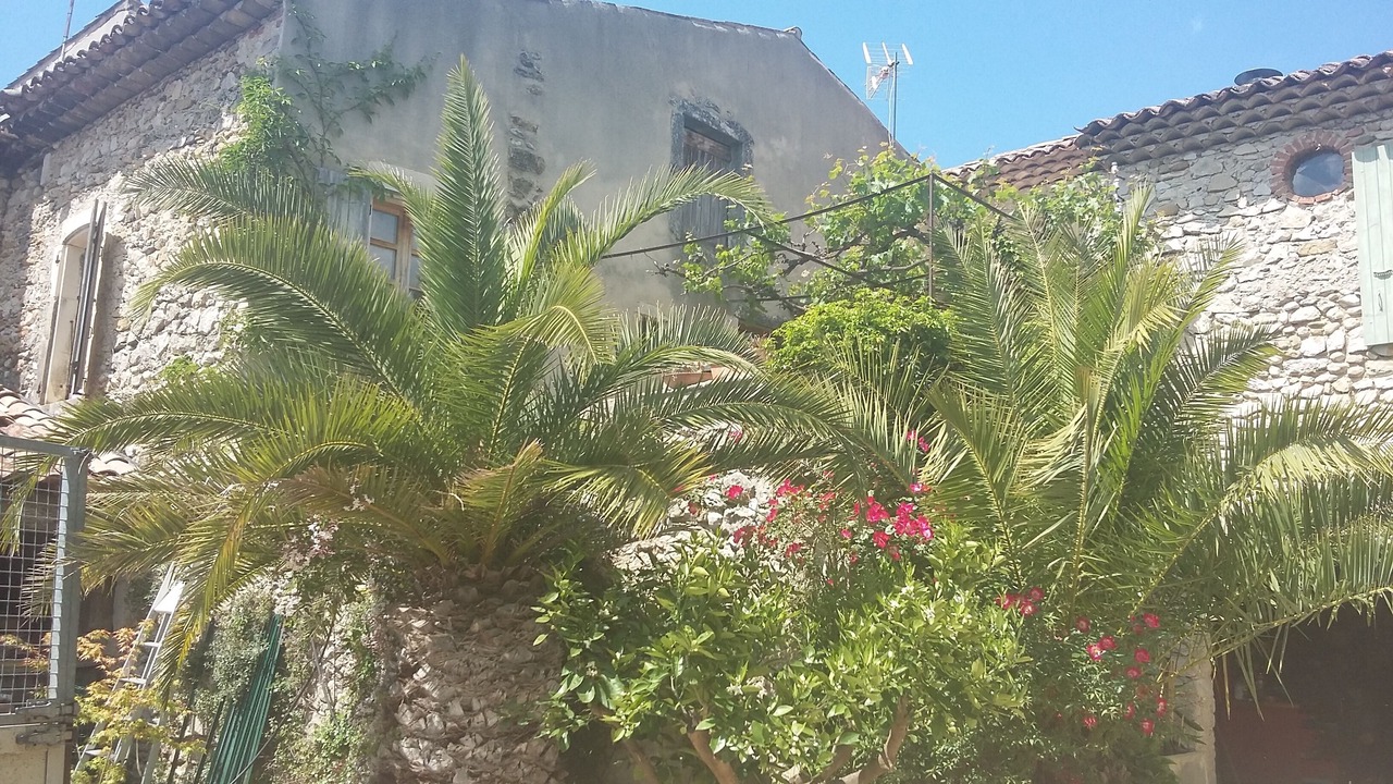 Photo of Outdoor in La Batie-Rolland