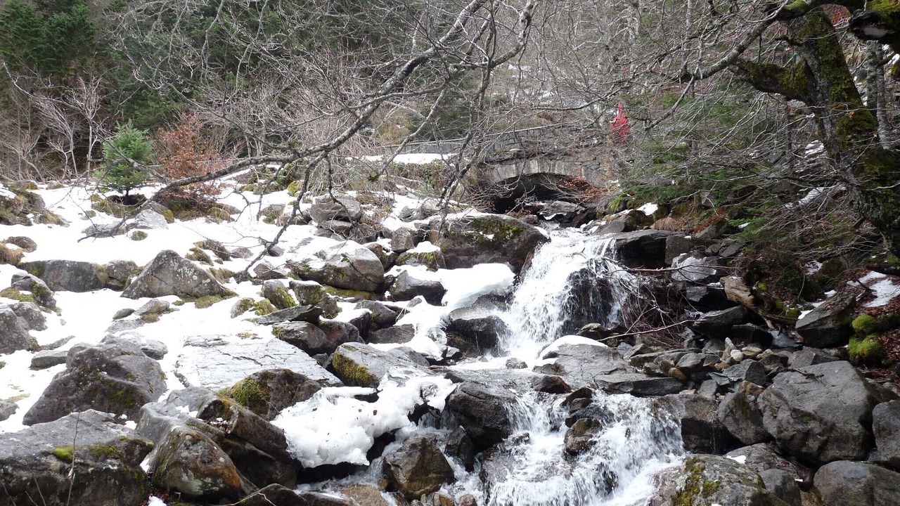 Photo of Outdoor in Artalens-Souin