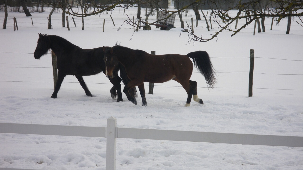 Photo of Others in Sancey-le-Grand