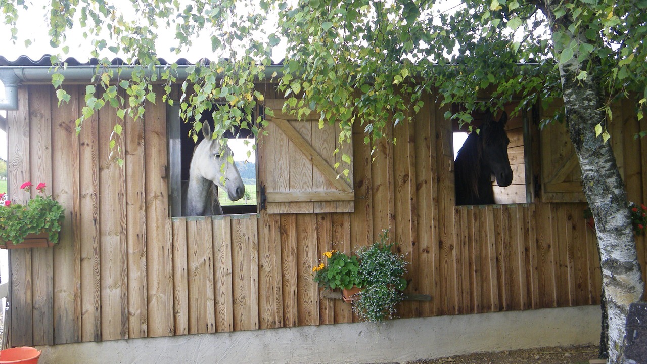 Photo of Outdoor in Sancey-le-Grand