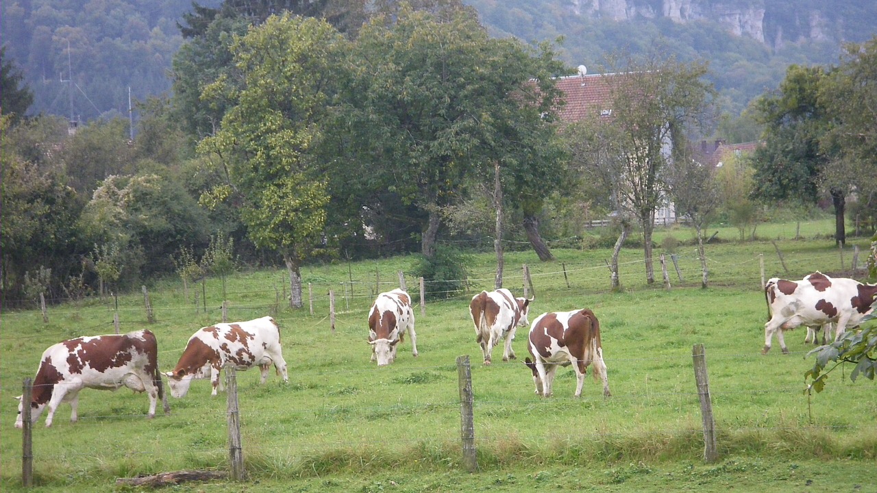 Photo of Outdoor in Sancey-le-Grand