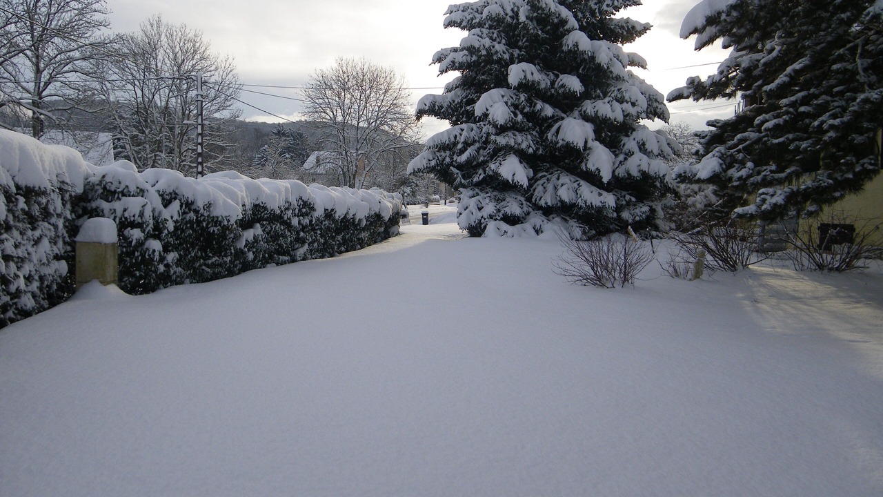 Photo of Outdoor in Sancey-le-Grand