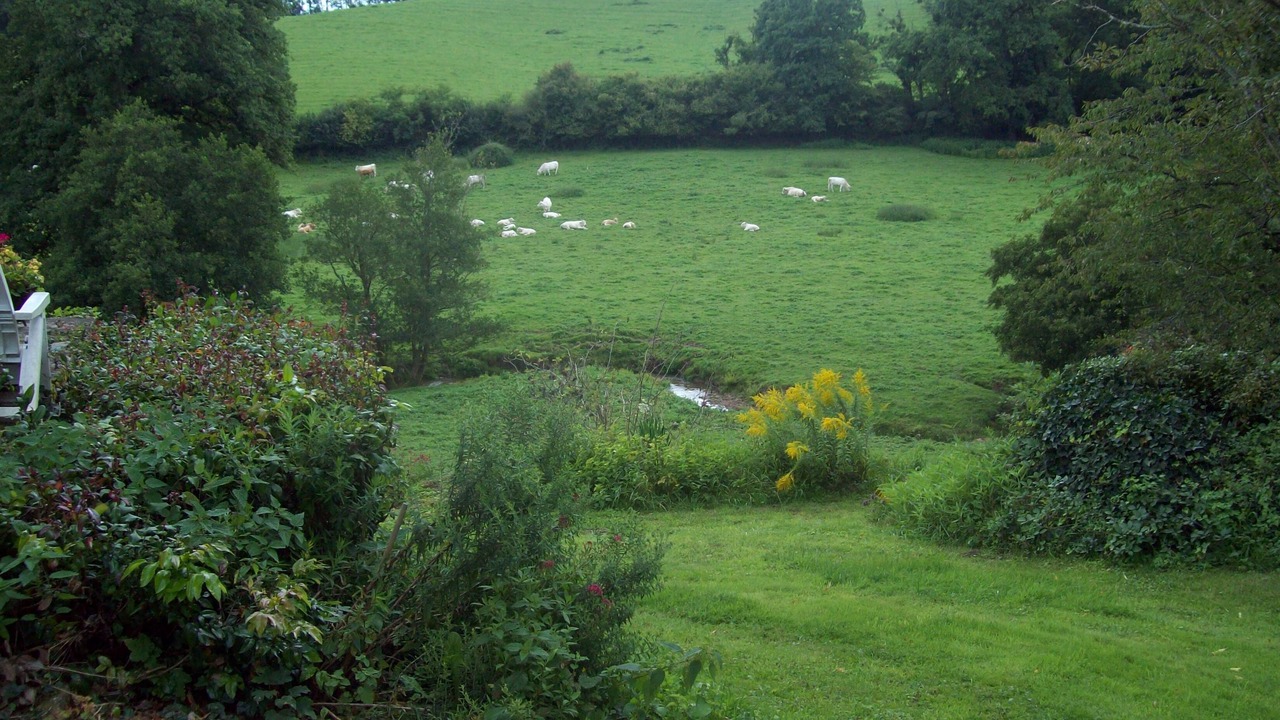 Photo of Outdoor in Brion