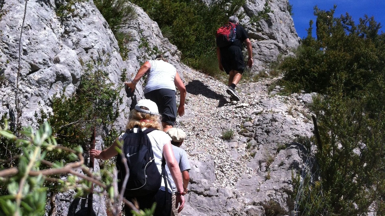 Photo of Others in Aurel