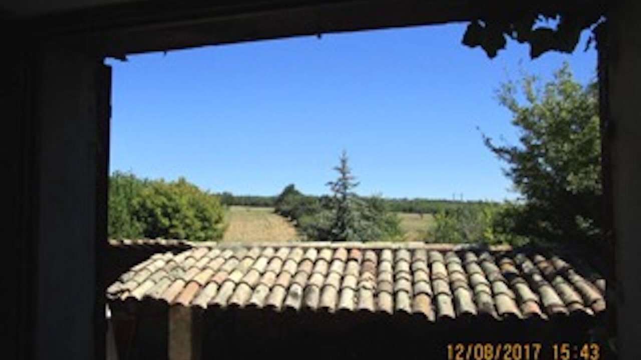 Photo of Others in Aurel