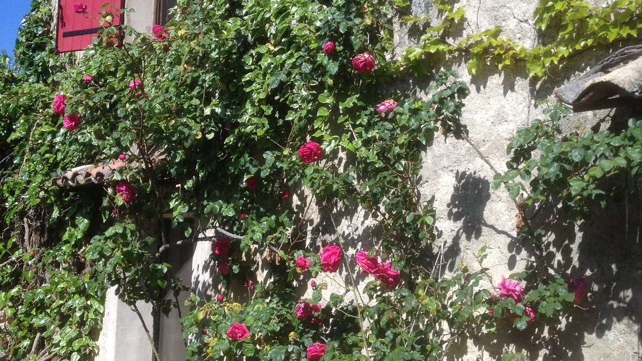 Photo of Outdoor in Aurel