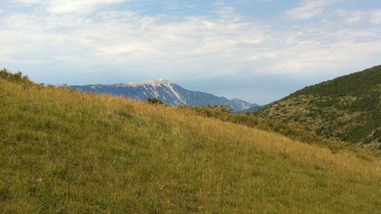 Photo of Outdoor in Aurel