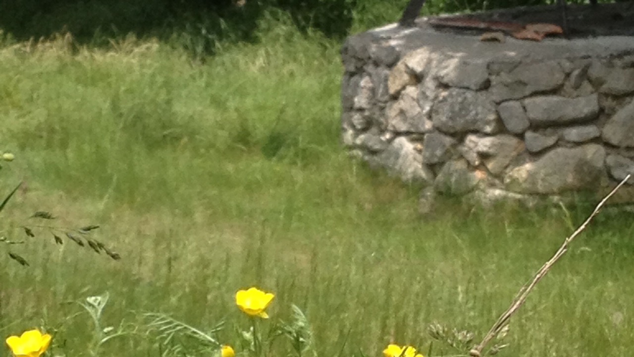 Photo of Outdoor in Aurel