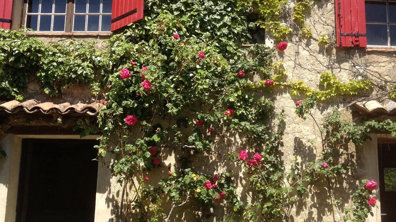 Photo of Outdoor in Aurel
