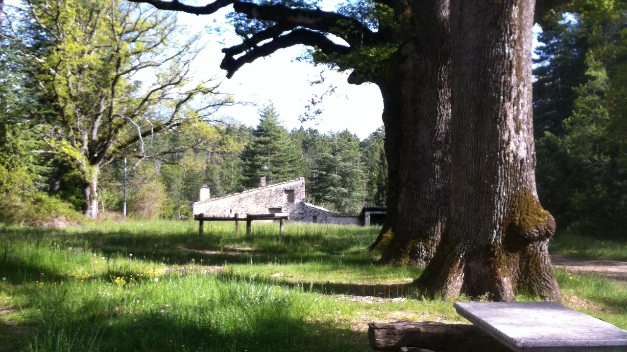 Photo of Outdoor in Aurel