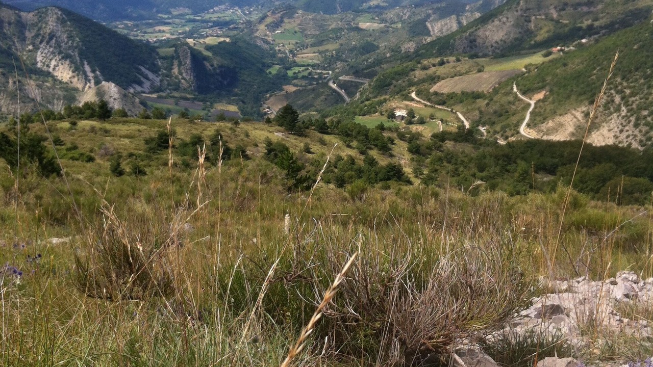 Photo of Outdoor in Aurel