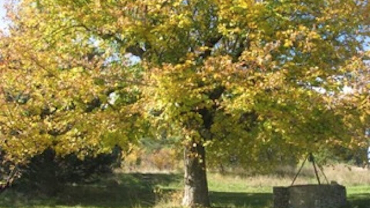 Photo of Outdoor in Aurel