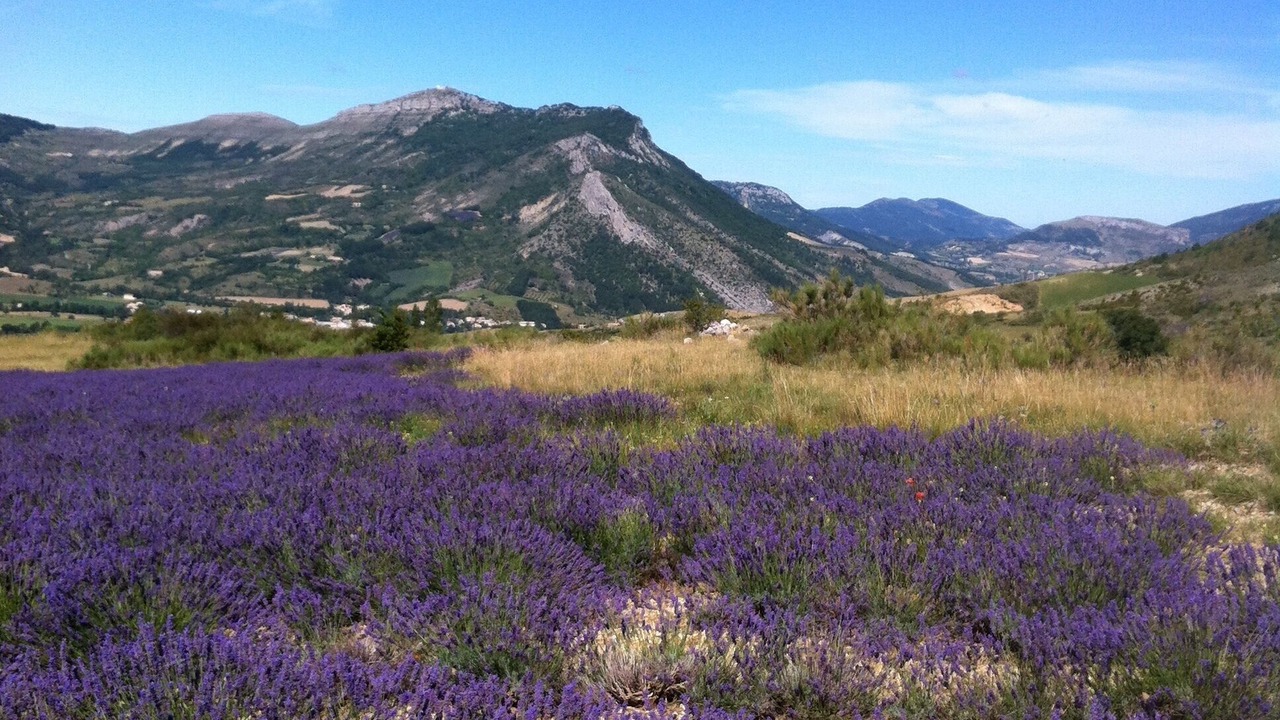 Photo of Outdoor in Aurel