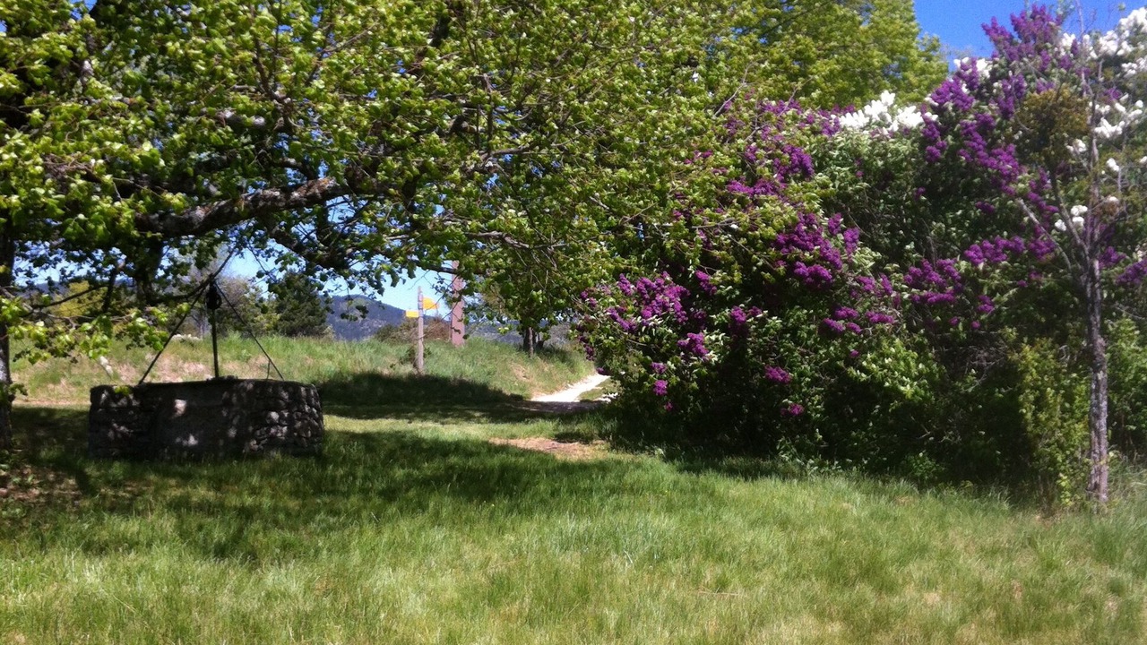 Photo of Outdoor in Aurel