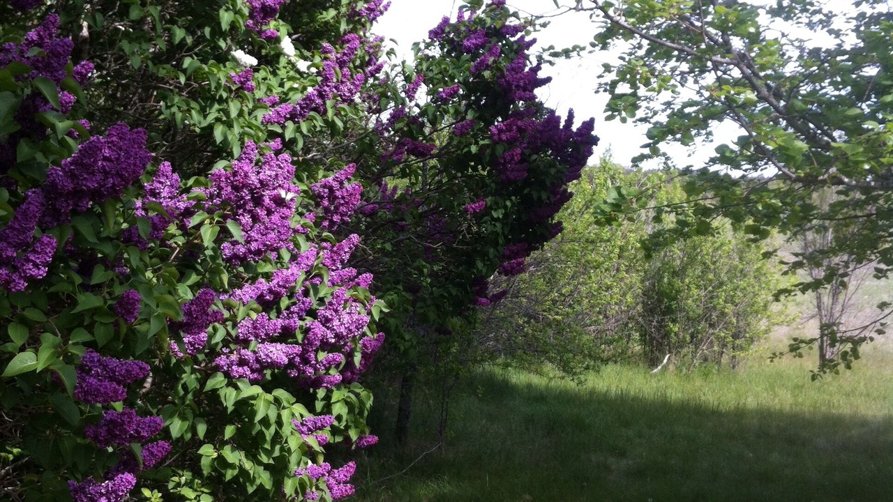 Photo of Outdoor in Aurel