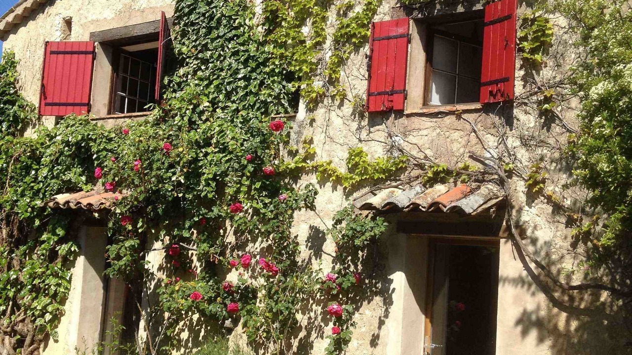Photo of Outdoor in Aurel