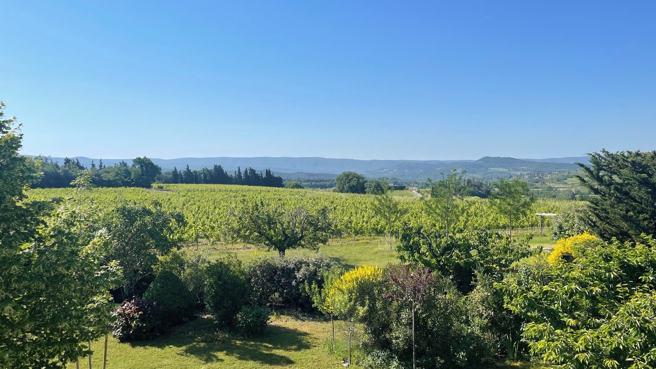 Photo of Others in Vaucluse