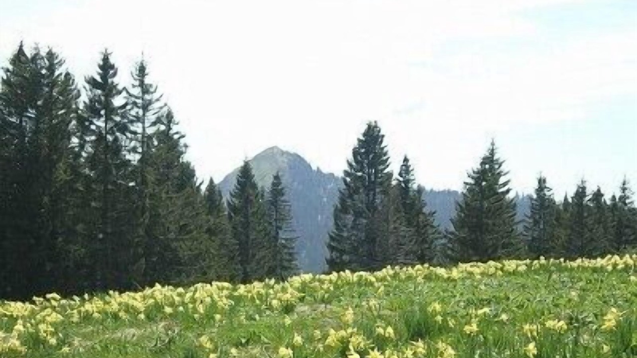 Photo of Outdoor in La Pesse