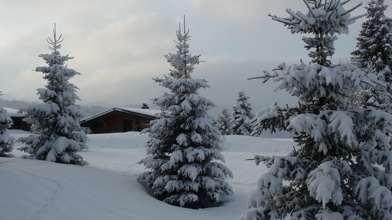 Photo of Outdoor in La Pesse