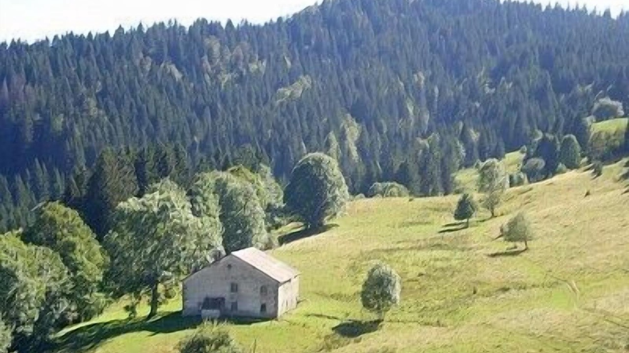 Photo of Outdoor in La Pesse