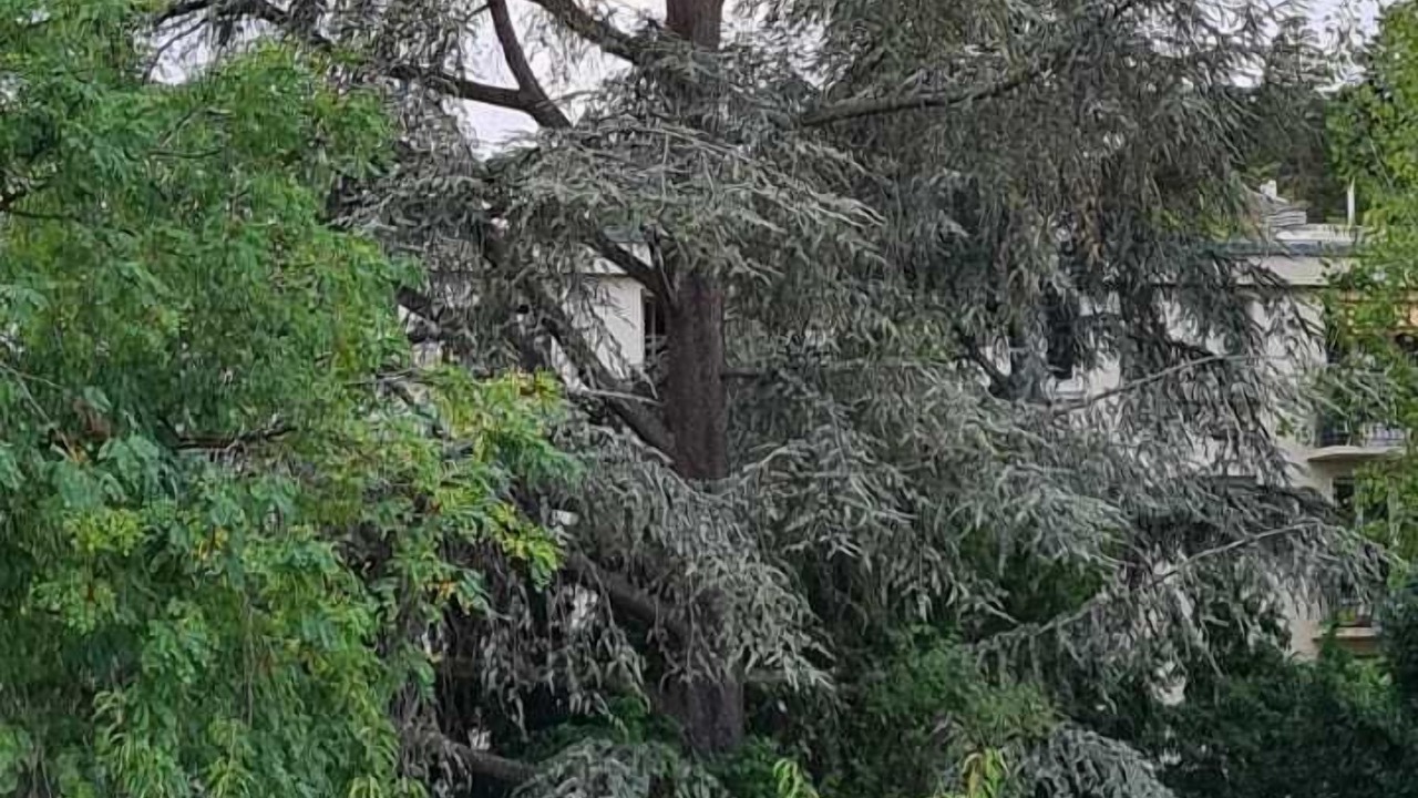 Photo of Outdoor in Chatenay-Malabry