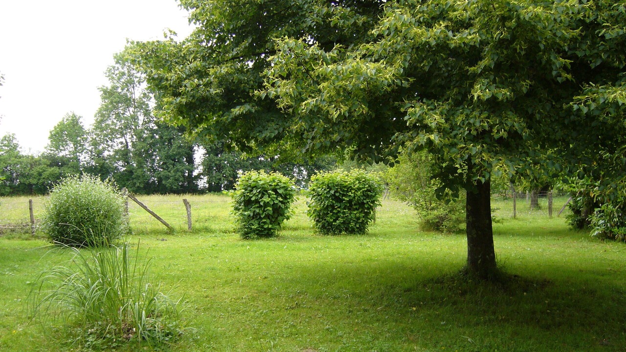 Photo of Outdoor in Plumont