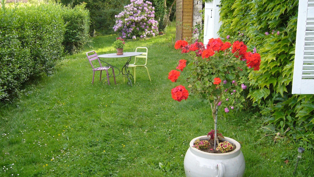 Photo of Outdoor in Plumont