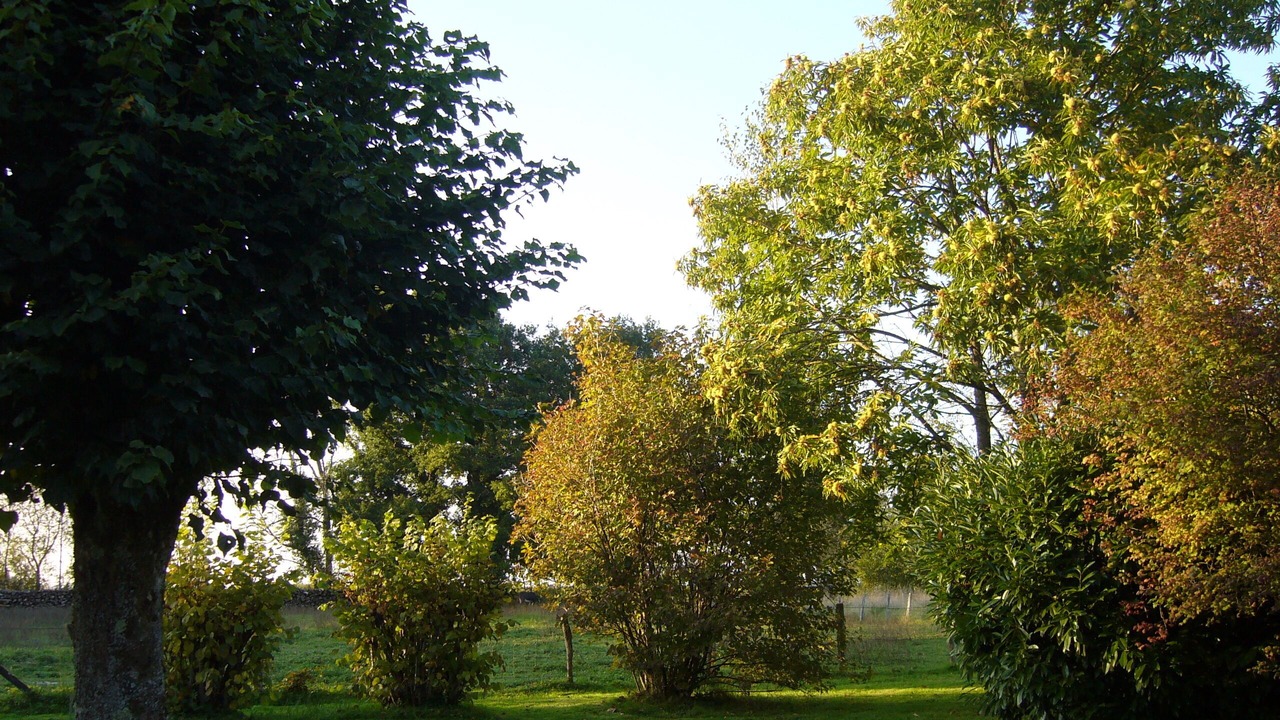 Photo of Outdoor in Plumont